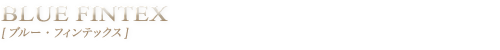 BLUE FINTEX