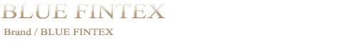 BLUE FINTEX